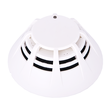 ���͸���ʽ���̸��»���̽����