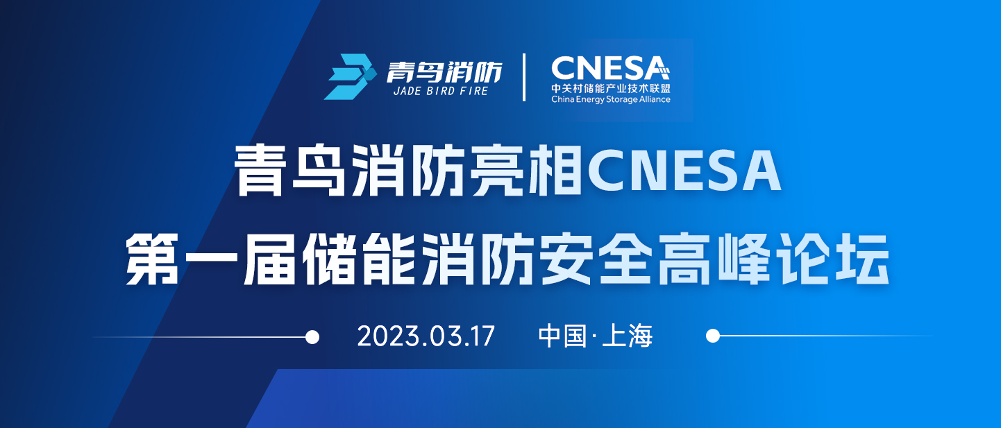 WilliamHill���Ĺٷ���վ����CNESA��һ�촢�������徲�����̳